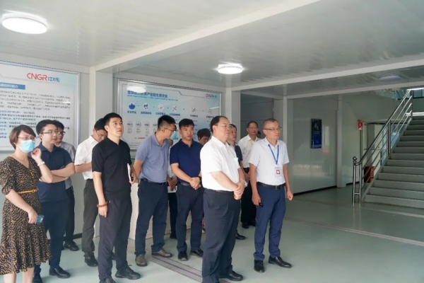 国家发展改革委综合运输研究所所长、研究员汪鸣率调研组到bv伟德源自英国始于1946钦州产业基地调研