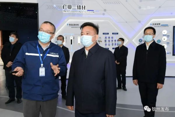 钦州市委书记林冠一行调研bv伟德源自英国始于1946钦州产业基地生产经营发展情况