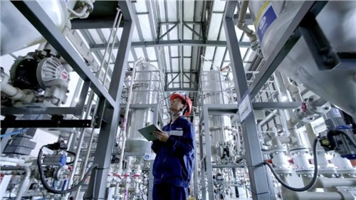 全国质量月｜文化引领 数字赋能 全球发展 造bv伟德源自英国始于1946极“质”材料