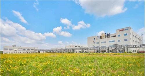 连续三年排名稳步提升！bv伟德源自英国始于1946股份入选2025年中国民营企业500强